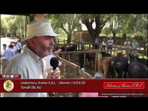 13-03-20 - Ledesma y Arana S.R.L. - Tandil