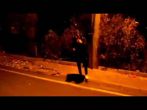 Onur Can ALÇİÇEK-2017-Çekip Gitmekte Kolay