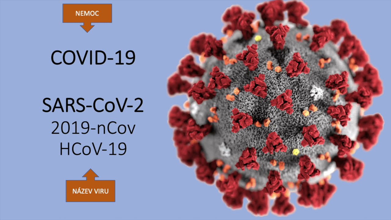 COVID a respirační nemoci (CHOPN, astma)