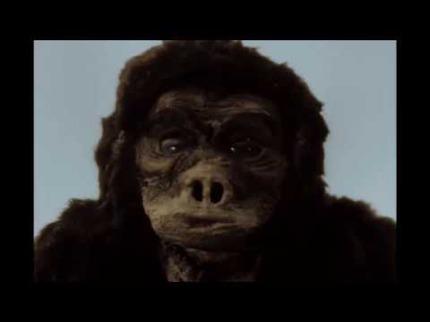 Goro fight scenes only