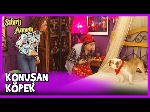 Suzan Avniye'yi YAKALADI! - Sihirli Annem 44. Bölüm