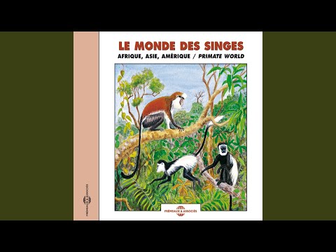 download lagu mp3 mp4 Groupe De Noir, download mp3 Groupe De Noir free download mp3, download mp3 Groupe De Noir