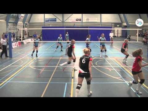 Ecare Apollo - Flamingo's '56