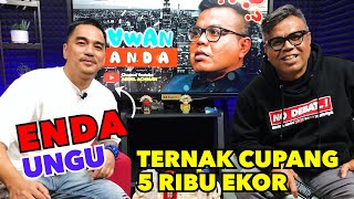 Download lagu ENDA UNGU - TERNAK CUPANG 5 RIBU EKOR mp3 Download lagu ENDA UNGU - TERNAK CUPANG 5 RIBU EKOR mp3