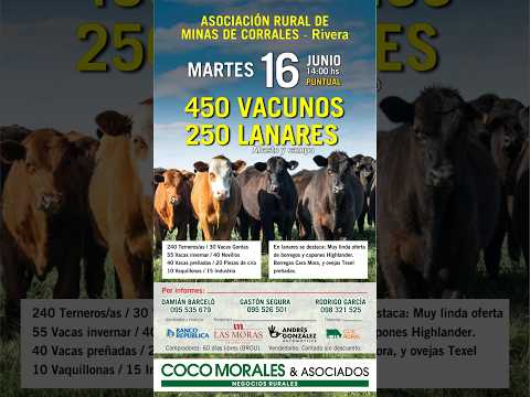 16/06/2026 Rural de Minas de Corrales - Feria mensual - Coco Morales & Asociados