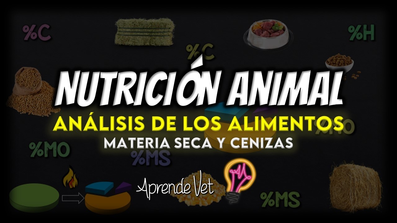 Miniatura Clase 1