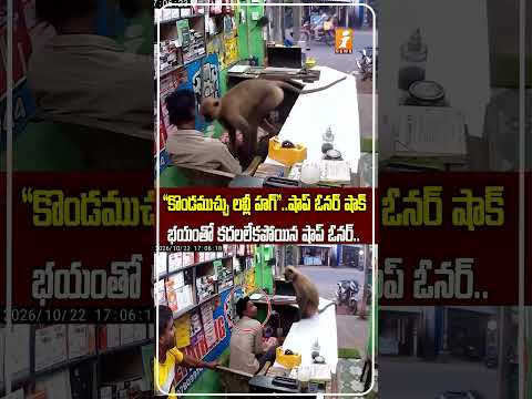 Monkey hugs a shop owner in Odisha 😂Shop Ownerకు కొండముచ్చు లవ్లీ హగ్! 😍| iNews