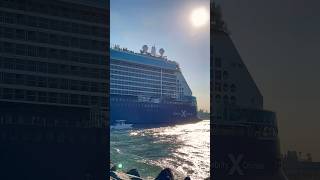 Celebrity Ascent 🛳️ #share #comment #subscribe #youtubeshorts #shortvideo #shortsvideo #shorts #fun