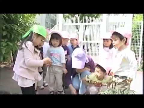コミュニケーション社会学科 「ある春の一日」 文京学院大学文京幼稚園