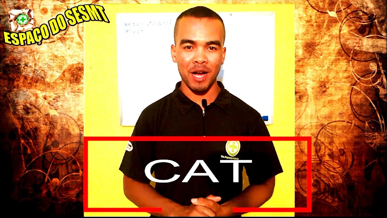 O QUE  ACONTECE SE A EMPRESA NÃO ABRIR A CAT?