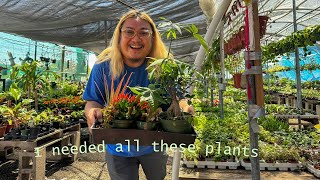 Go Here for a Successful Trip to the Nursery.