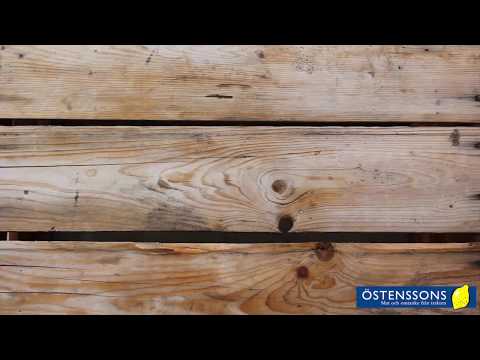 Morotssoppa med salvia!