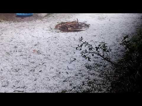After the hail storm of 29/10/17 II