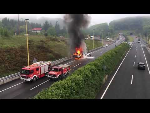Errepidean su hartu du garabiak
