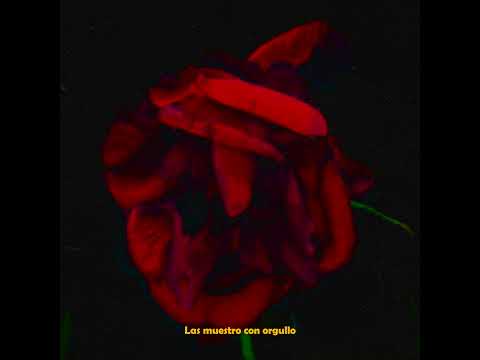 RAFA CARLAVILLA - CIELO ROJO (PRODUCE CHAMAN)