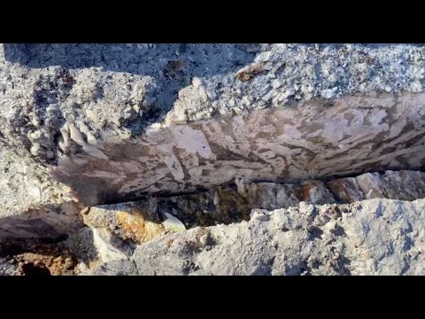 Footage from the field