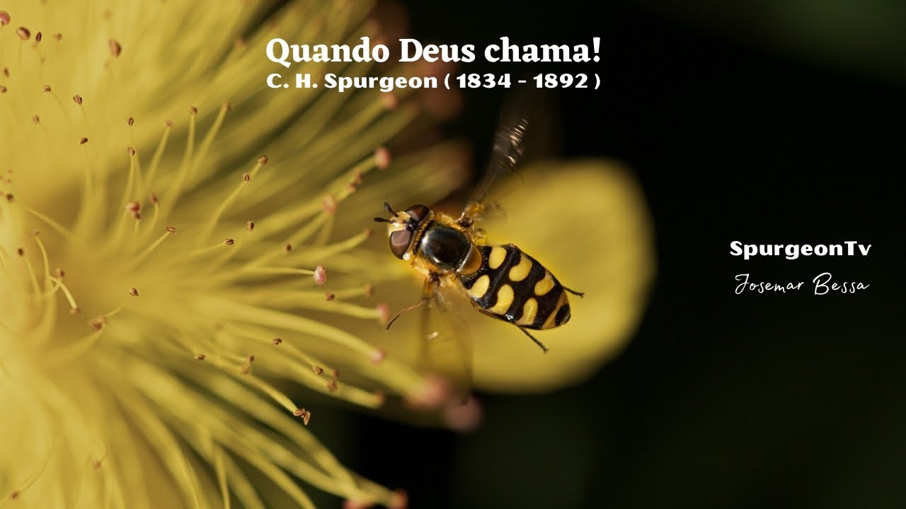 Quando Deus Chama | C. H. Spurgeon | Sermão  664