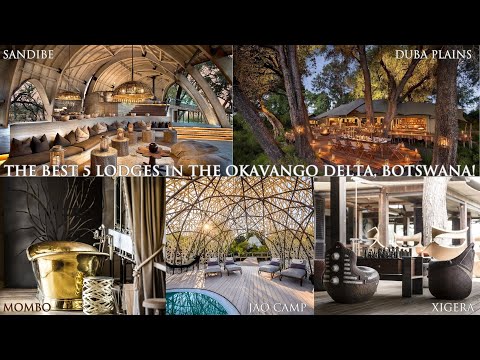 The 5 Best Luxury Okavango Delta Lodges, Botswana.