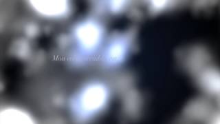 VJ LOU ft ELEEZA R - VOL DE NUIT (Lyrics Video)