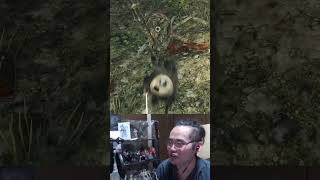 「予想外すぎる攻撃をする亀(？)ｗ」致命を誘う新手のトラップｗｗｗ #shorts #ダークソウル2  #darksouls2 #ダクソ2 #フロムゲー