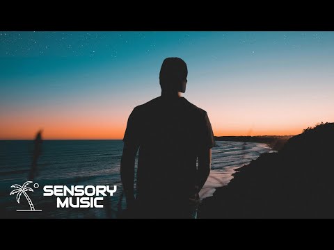 LUNAX x Luca Schreiner feat. ANY - No Heroes