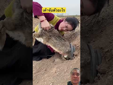 จับตัวอะไร #animals #comedy #fishing