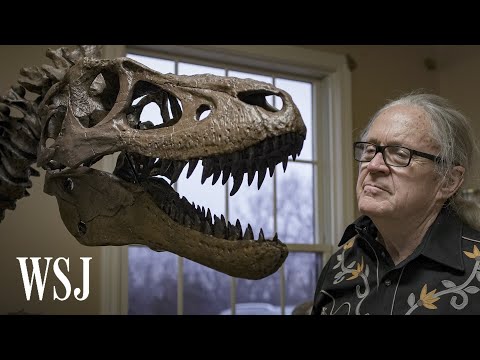 Inside the Battle Over Dinosaur Fossil Hunting | WSJ