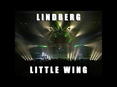 【LINDBERG/LITTLE WING】