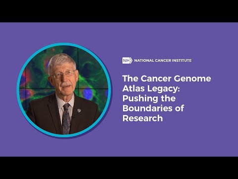 The Cancer Genome Atlas Legacy: Pushing the Boundaries of Research