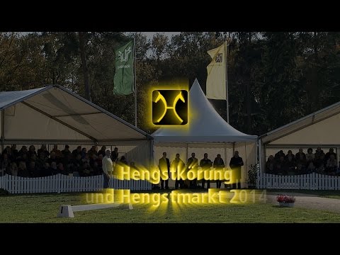 Hannoveraner Hengstkörung und Hengstmarkt - Hanoverian Stallion Licensing and Sales 2014