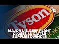 Tyson Foods To Shutter Major Plant Amid Record Beef Prices Drawing Lawmaker Criticism