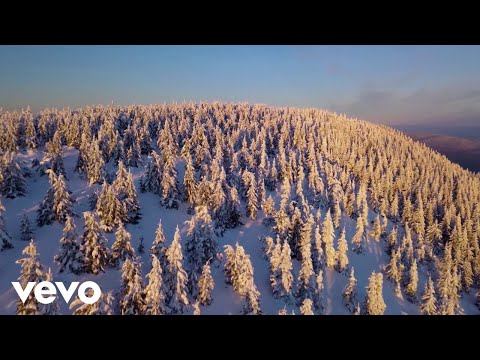 Jasna Zlokić - Pusti Me Da Prođem