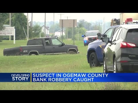 Bay City man arrested in cornfield, accused of bank robbery