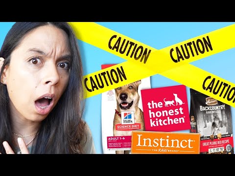 4 Brands to STOP Feeding?!?! ⚠️