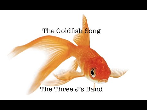 “The Goldfish Song” The Three J’s Band - Live at Unique Treasures 18 Oct 2020