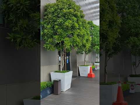 #malaysia  #travel #views #visitkualalumpur