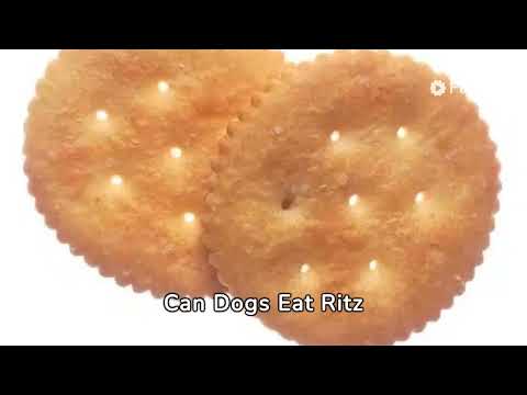 Can Dogs Eat Ritz Crackers? Risks, Benefits, and Safe Alternatives for Your Pet