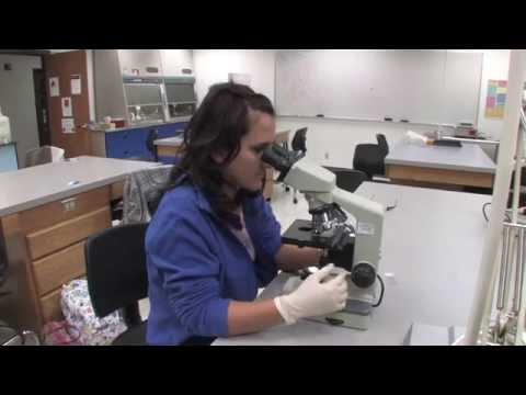 Medical Lab Technician at Central Community College