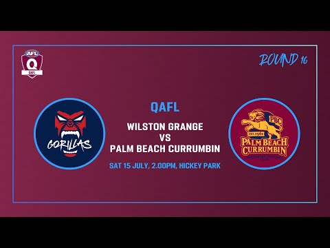 LIVE QAFL ROUND 16 - Wilston Grange v Palm Beach Currumbin