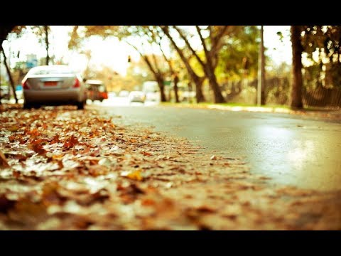 Prambors Band - Kemarau (with lyrics)