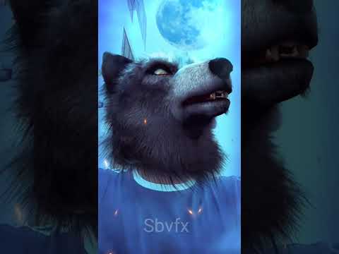 How I turned into wolf😱😱 #vfx #sfx #cgi #ytshorts #shorts #short #sbvfx #viral #viralvideo #wolf