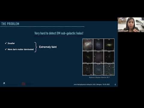 Carolina Casadio (Institute of Astrophysics - FORTH, Crete)