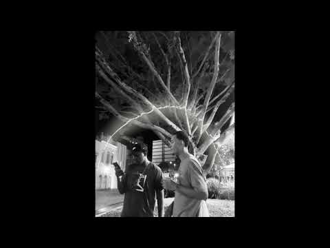 Indigo Gang | Blacka ft. _ryanzinho53 -  NIGGAS NO TOPO [Prod by Volt]