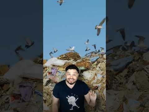 The DANGER of COBALT 60 -  FactTechz Short AMAZING FACTS Show #shorts