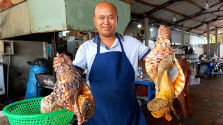 Vietnamese Food - GIANT ALIEN CONCH Sashimi Mui Ne Seafood Vietnam