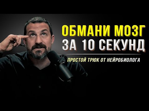 Иллюстрация / Нейробиологический трюк для мгновенной бодрости