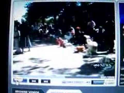 The Future of America in the history of Zimbabwe