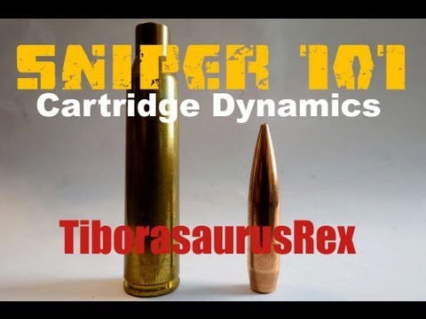 Long Range 101 Part 2 - Cartridge Dynamics - Rex Reviews