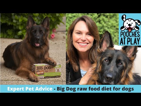 Raw food diet for dogs - Expert Dog Health and Nutrition Advice | S5 Ep1 | Pooches at Play
