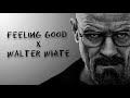 BREAKING BAD X FEELING GOOD Heisenberg